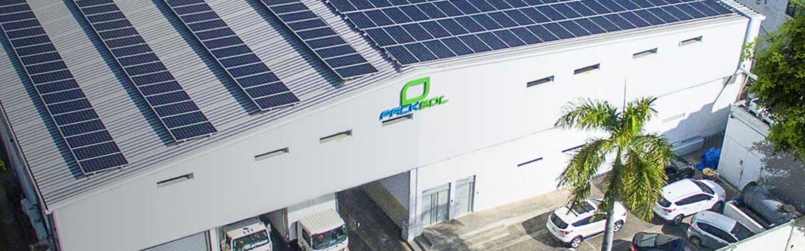 Packsol