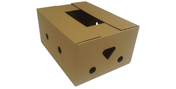 CAJA TIPO TELESCÓPICA