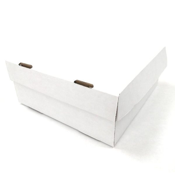 CAJA DE CARTÓN PLEGADIZO