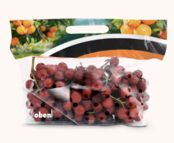OBENSEAL