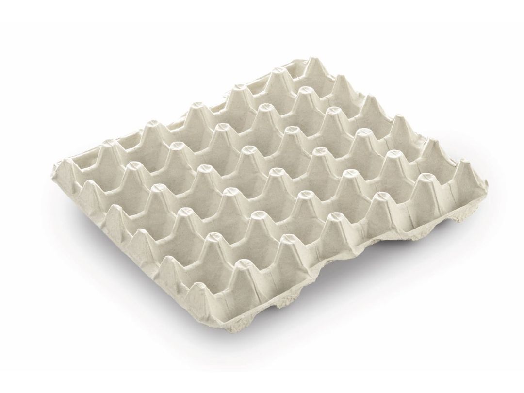 BANDEJA / SEPARADOR PEEWE PARA 30 HUEVOS
