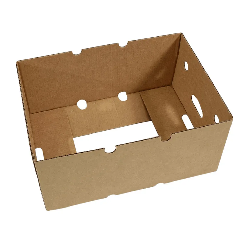 Caja de cartón Fondo Aguacate 8" 14.8x11.46x7.83in