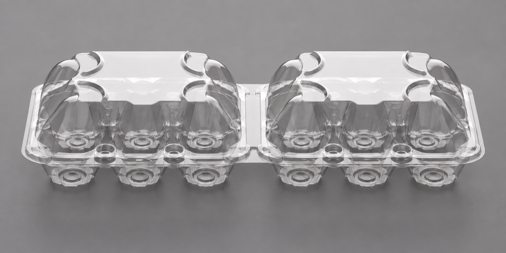 MT-5/12 2X6  Envase Estuches para huevos